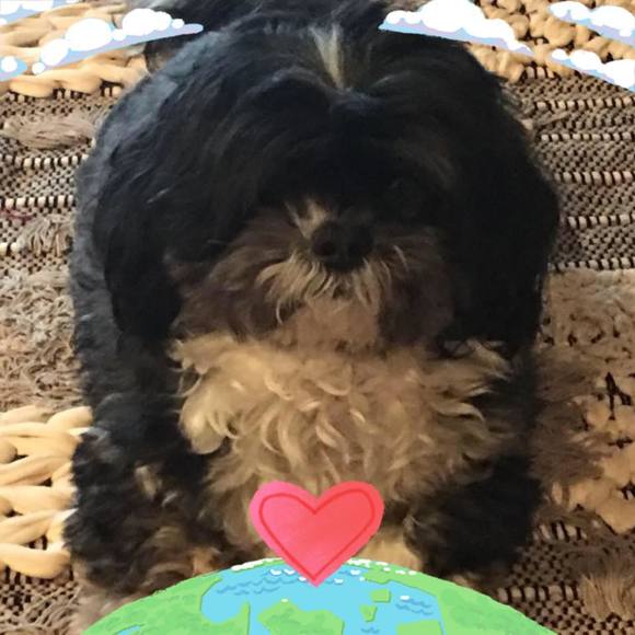 Meet your Posher, Debbie - Picture 1 of 1